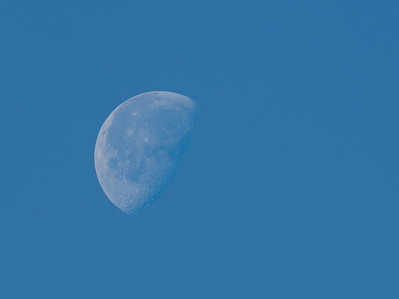 Blue Moon