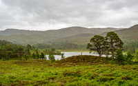 Glen Affric