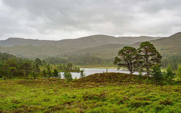 Glen Affric