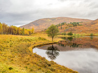 20241018-Glen Cannich-OM013467