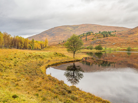 20241018-Glen Cannich-OM013467
