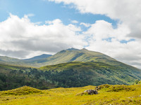 Sgùrr na Lapaich