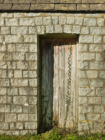 The Door