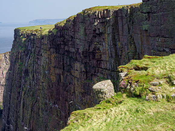 The Cliffs of Handa