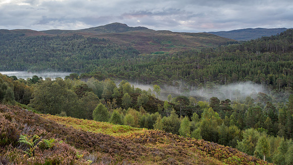 Glen Affric