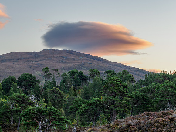 20220924-Glen Affric-EM013076