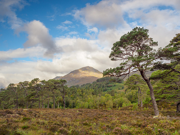 20220924-Glen Affric-EM4999