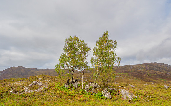 20220924-Glen Cannich-EM5026-Edit
