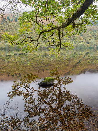 Loch Oich Reflection