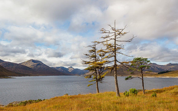 Knoydart View