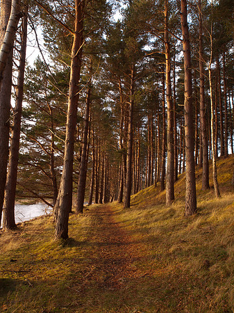 20111211-Cairngorms-QC115465-2