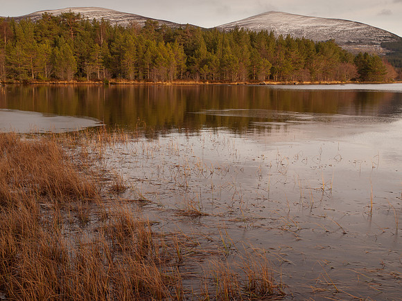 20111211-Cairngorms-QC115436