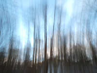 Blurred Trees