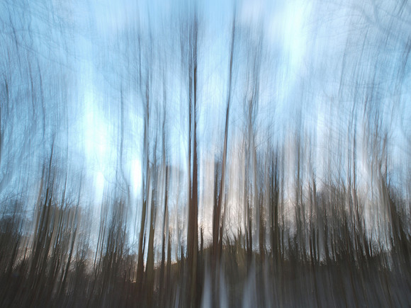 Blurred Trees