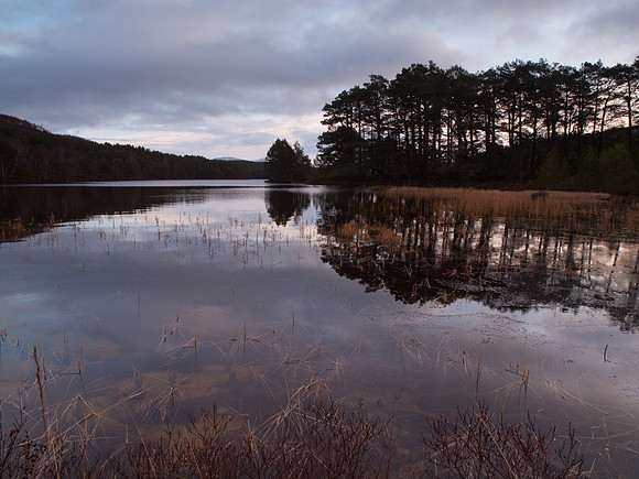 20111211-Cairngorms-QC115402