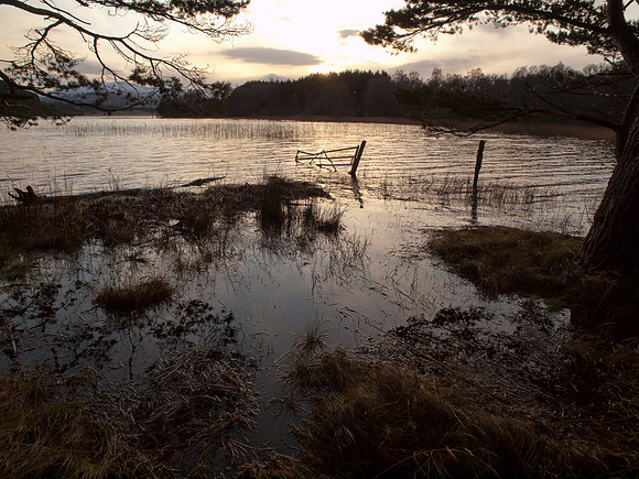 20111211-Cairngorms-QC115477