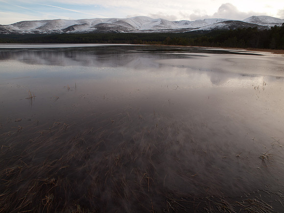20111211-Cairngorms-QC115437