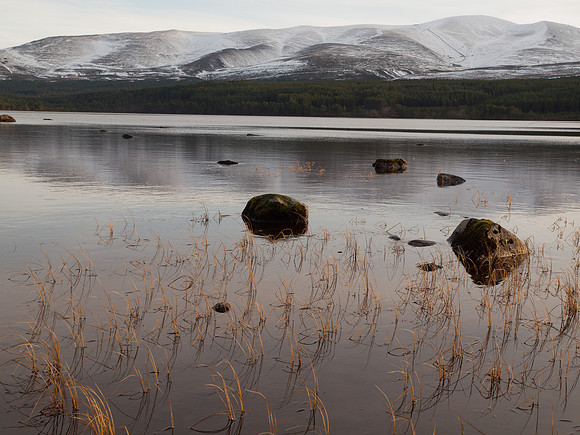 20111211-Cairngorms-QC115455