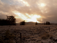 Low Winter Sun