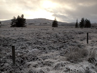 Setting Winter Sun