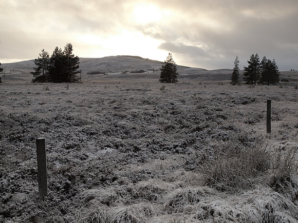 Setting Winter Sun