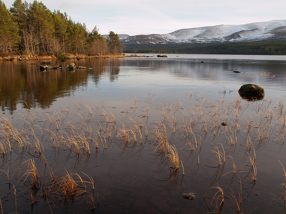 20111211-Cairngorms-QC115460