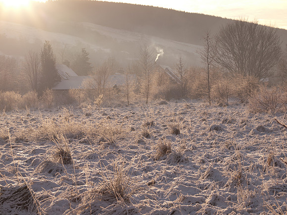 Misty Winter Sunshine