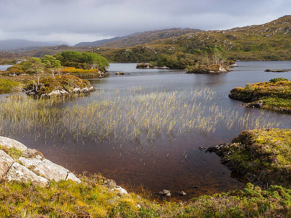20120926-Ullapool-Assynt-R9261106