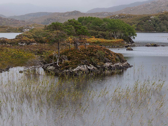 20120926-Ullapool-Assynt-R9261078