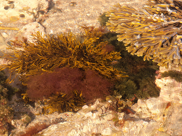 20110924-Findlater-Q9243779