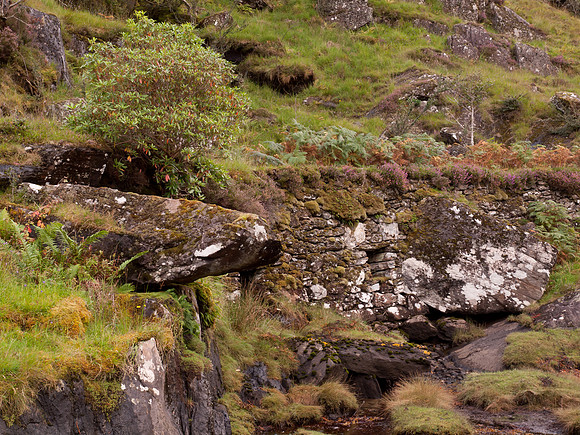 20110918-Kinlochourn-Q9183598