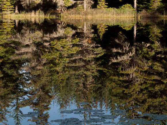 20110928-Loch Ness-Q9283908