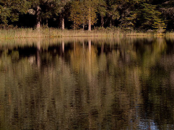 20110928-Loch Ness-Q9283896