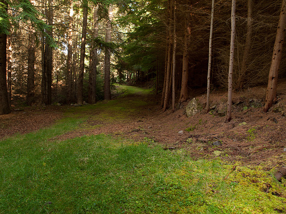 20110928-Loch Ness-Q9283933