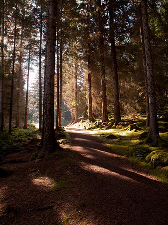 20110928-Loch Ness-Q9283876