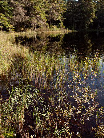 20110928-Loch Ness-Q9283925