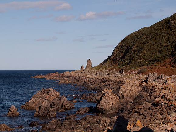 20110924-Findlater-Q9243672