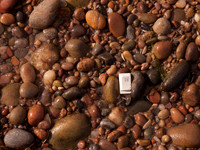20110904-Findhorn-Q9043363