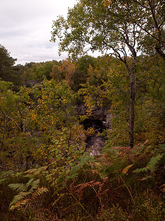 20110925-Dulsie-Q9253820