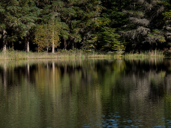 20110928-Loch Ness-Q9283895