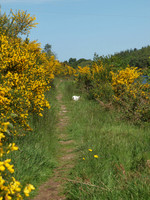 20110605-Caledonian Canal-Q6051399
