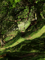 20110603-Dhivach-6031278