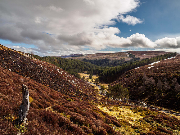 Glen Kyllachy 1
