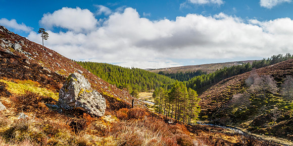 Glen Kyllachy 2