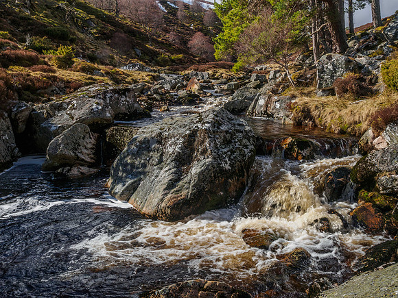 Glen Kyllachy 4