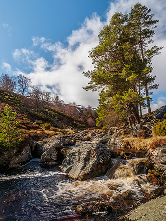 Glen Kyllachy 3