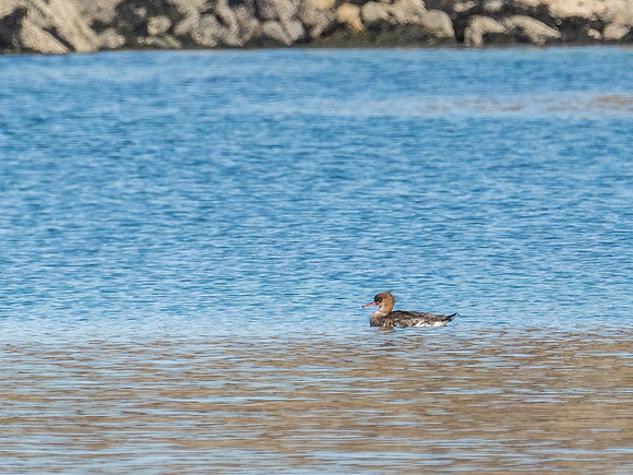 Sandaig