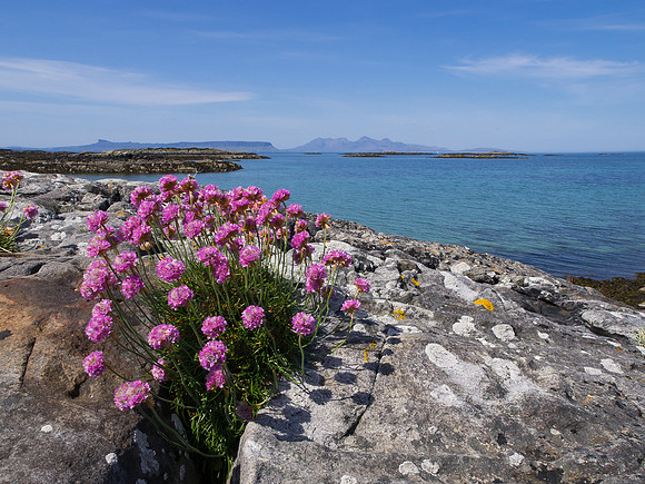 20130609-Morar-R6095922