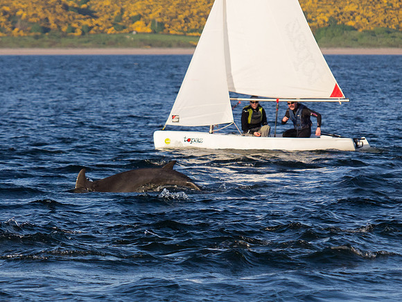 20130605-Rosemarkie-R6055822