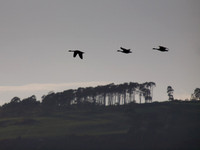 20130605-Rosemarkie-R6055791-Edit